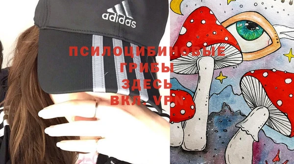 крисы Алексин