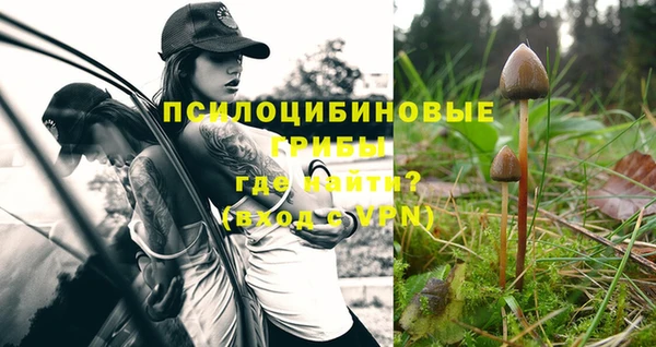 спайс Алзамай