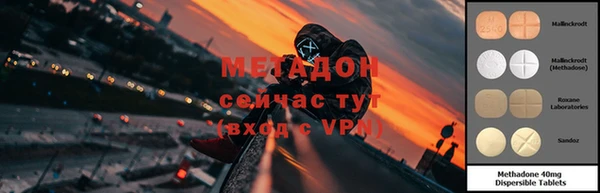 крисы Алексин