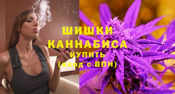 ECSTASY Елизово