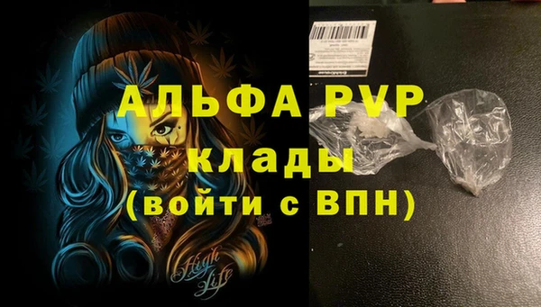 крисы Алексин