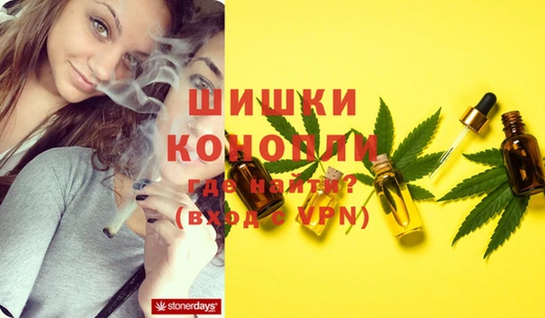 спайс Алзамай