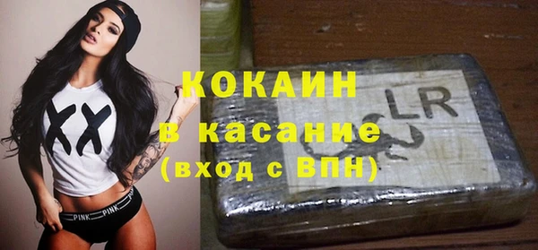 крисы Алексин
