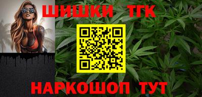 индика Тула