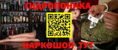 индика Тула