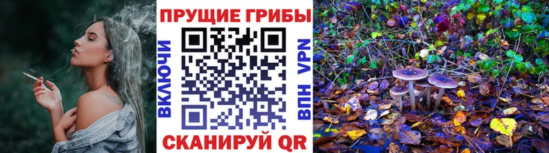 Галлюциногенные грибы Cubensis  хочу   Темрюк 
