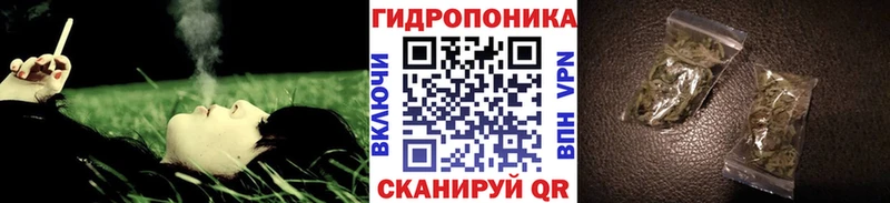 Конопля тримм  мориарти клад  Темрюк 
